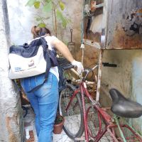 miniatura galeria
