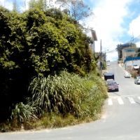 miniatura galeria