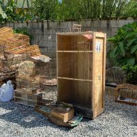 miniatura galeria