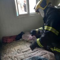 miniatura galeria