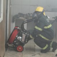 miniatura galeria