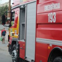 miniatura galeria