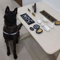 miniatura galeria