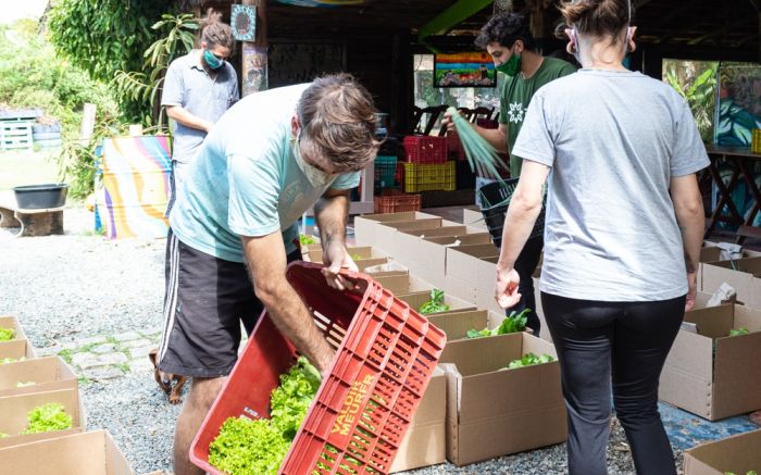 Assistência Social comprou alimentos orgânicos de produtores locais e regionais. Foto Arquivo.