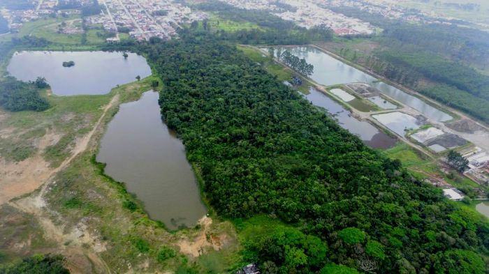 Distribuidora diz que estrutura de captação estará pronta a partir desta temporada
Foto Divulgação