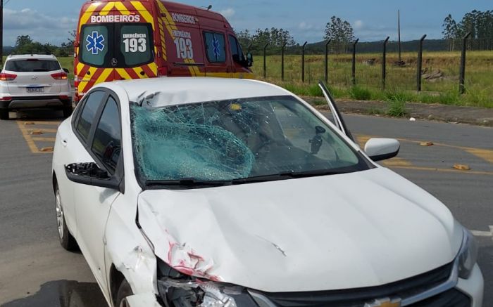 Vítima dirigia em zigue-zague na rodovia estadual
(foto: divulgação)