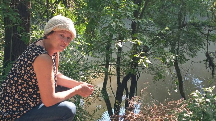 Especialistas destacam a importância ambiental da proteção dos manguezais
Foto Divulgação.