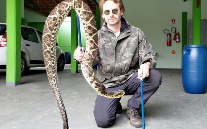 Cristian Raboch, biólogo da Fundação de Meio Ambiente de Jaraguá (Fujama), mostra uma das maiores cobras capturadas na cidade. Foto Divulgação.