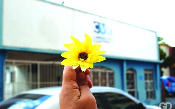 Grupo atende cerca de 13 mil ligações diárias (foto: divulgaação)