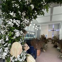 miniatura galeria