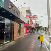 miniatura galeria