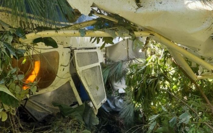 A vítima era o único ocupante da aeronave e passa bem Foto: Reprodução/ Redes Sociais