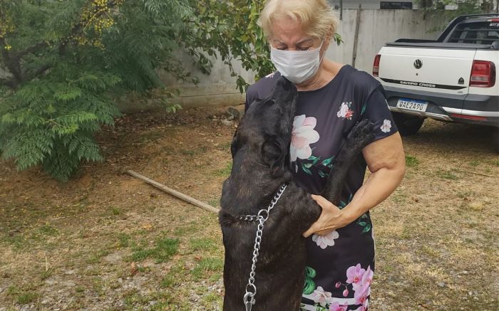 Reencontro foi com lágrimas de emoção e muitas lambidas
Crédito: Joca Baggio