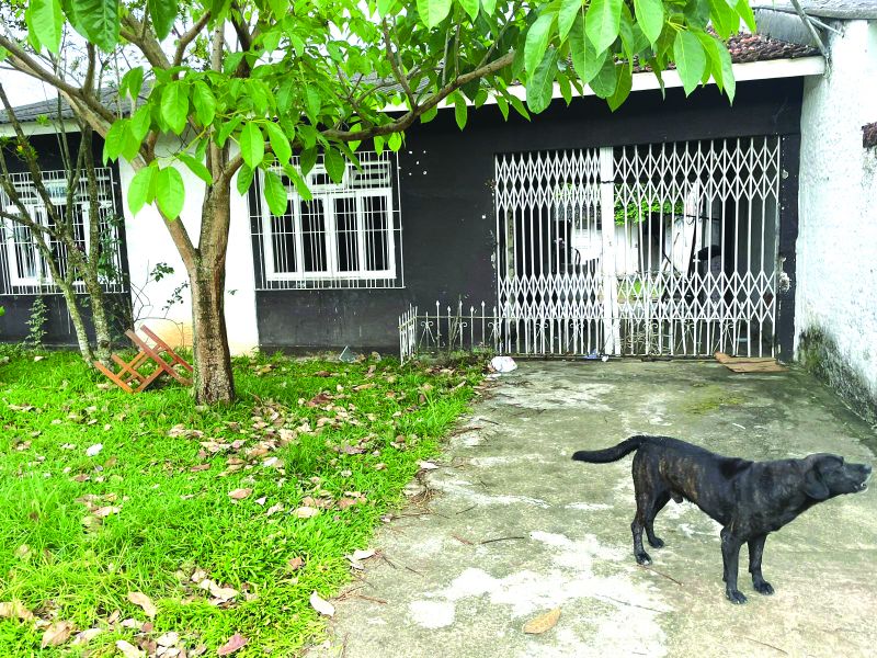 Cão ficou cuidando de casa, esperando a tutora internada em asilo