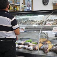 miniatura galeria