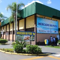 miniatura galeria