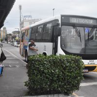 miniatura galeria