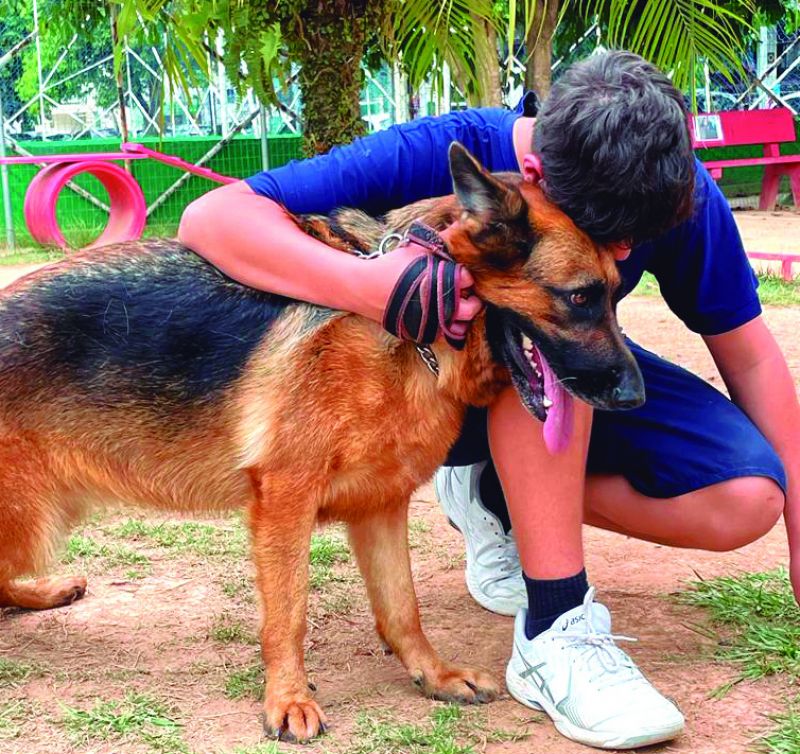 Animais podem viver em condomínio, mas precisam respeitar regras (foto: da redação)