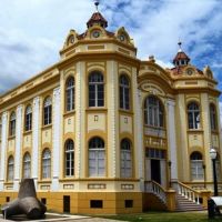 miniatura galeria
