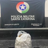 miniatura galeria
