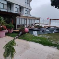 miniatura galeria