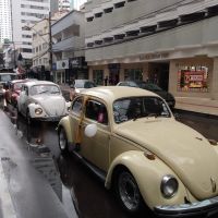miniatura galeria