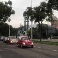 miniatura galeria