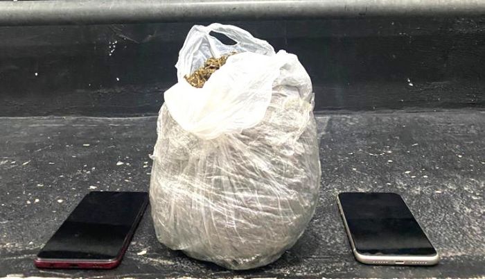 Polícia localizou meio quilo de droga
(foto: divulgação)
