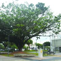 miniatura galeria