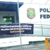 miniatura galeria