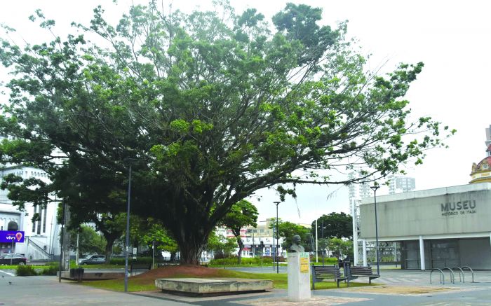 Serviços foram lançados na Semana do Meio Ambiente
(foto: João Batista)