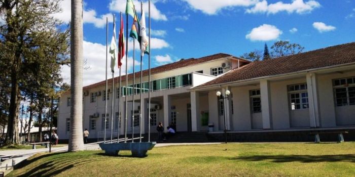 O candidato precisa ter diploma de curso de graduação, emitido por instituições de ensino brasileiras reconhecidas pelo MEC Foto: Divulgação