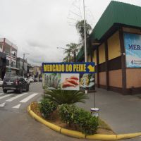 miniatura galeria