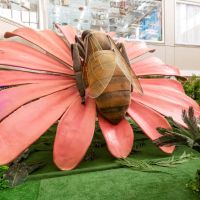 miniatura galeria