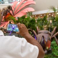 miniatura galeria