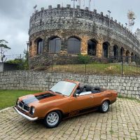 miniatura galeria