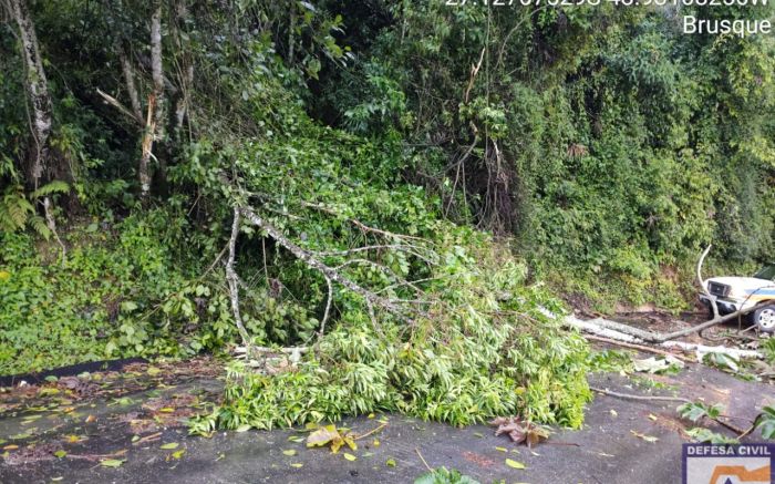 O acumulado de chuva chegou a 92 milímetros nas últimas 72 horas Foto: Divulgação