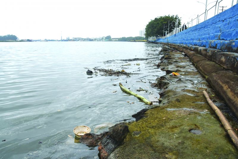 Pesquisa mostra que poluição também piorou situação no rio Itajaí