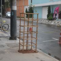 miniatura galeria