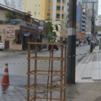 miniatura galeria