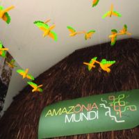 miniatura galeria