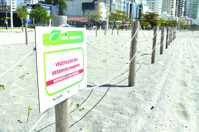 Restinga faz parte do projeto das chamadas dunas embrionárias que vão proteger a orla das ressacas