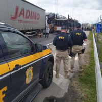 Manifestantes contestam decisão das urnas e pedem intervenção militar