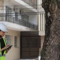 Balneário fará mapeamento das árvores em vias públicas