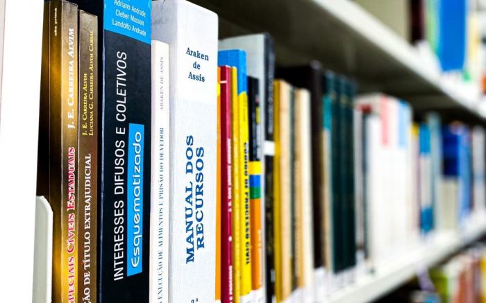 Biblioteca também aceita doações de livros, revistas, gibis e demais tipos de obras bibliográficas que estejam em bom estado Foto: Divulgação