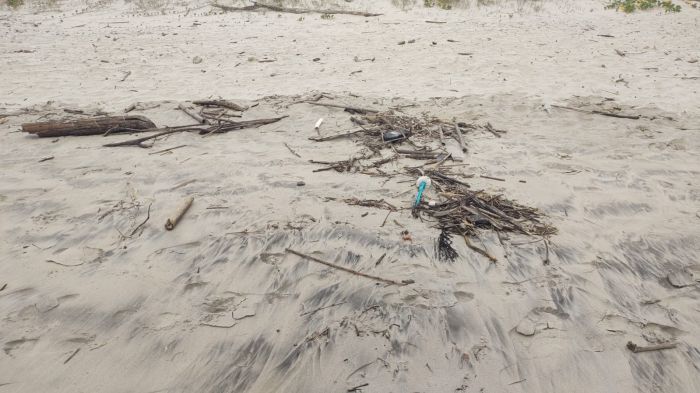 Reclamações relacionadas a lixo e entulhos nas praias de Navegantes são recorrentes (Fotos: Leitor)