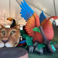 Desfile tem vagas para arquibancadas e camarotes
