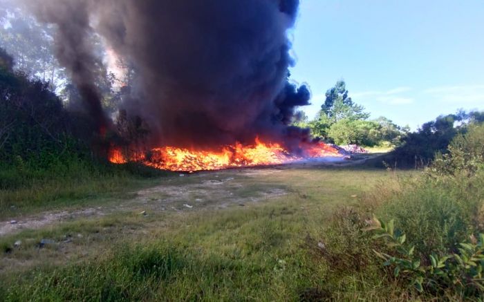 Foram usados 20 mil litros de água
Foto: Leitor