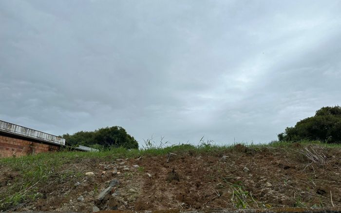 Crimes acontecem à luz do dia há pelo menos dois ano0s (Foto: Leitor)