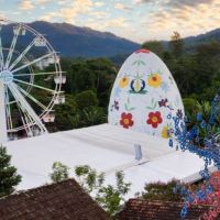 miniatura galeria